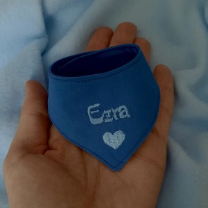 Bandana dla psa z imieniem niebieska