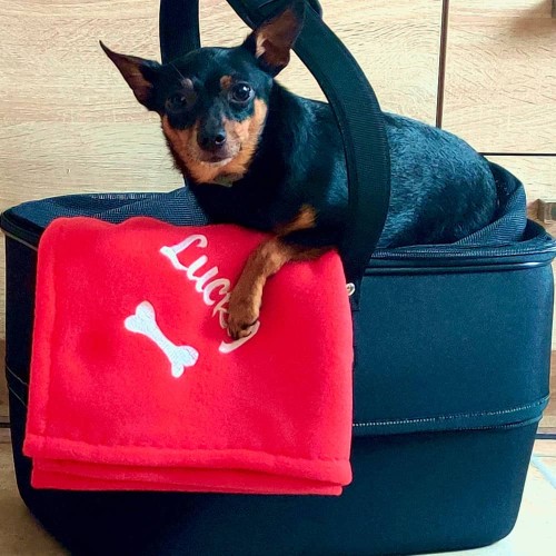 kocyk dla psa w kolorze czerwonym z imieniem