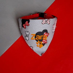 Chusta dla psa na obrożę minnie na szarym tle z imieniem