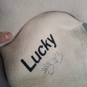 zestaw dla psa beżowy lucky